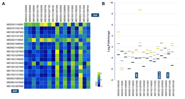 Statistical analysis of the hormone-related DEGs.