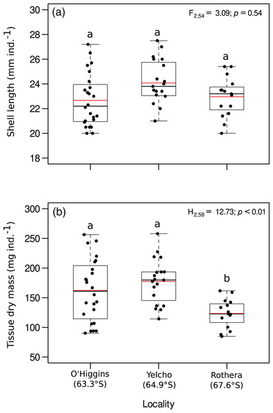 Jitter boxplot of (A) shell length (mm ind.−1) and (B) tissue dry mass (mg ind.−1) of adult individuals of A. eightsii collected from three different localities of the Western Antarctic Peninsula.