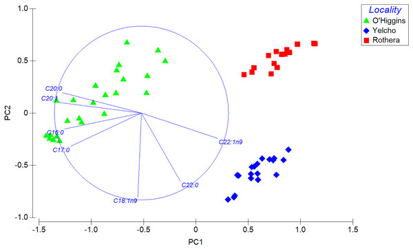 Principal component analysis (PCA) plot based on Bray–Curtis similarity of fatty acid data of adult individuals of A. eightsii collected from three different localities of the Western Antarctic Peninsula.