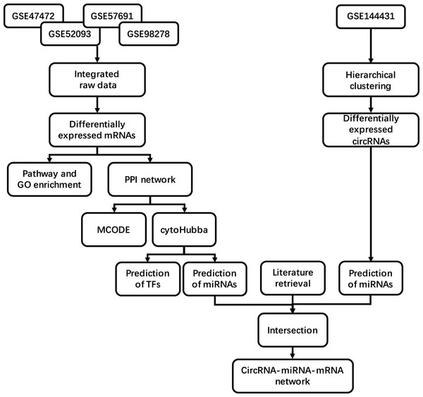 Study workflow. Flowchart for the integrated analysis of AAA microarray datasets from GEO and the studies obtained from PubMed.