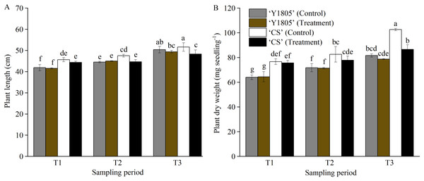 Effects of salt stress and recovery on the plant length (A) and dry weight (B) in two wheat varieties.