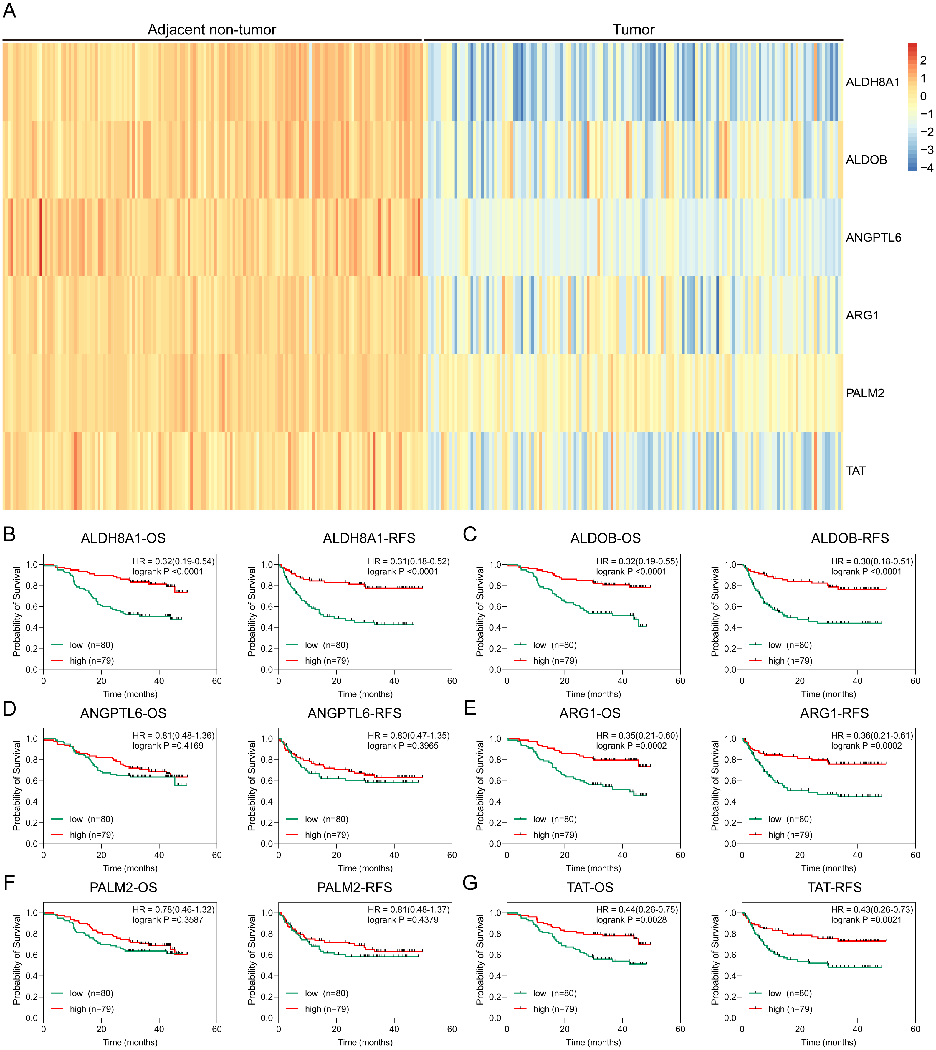 Transcriptomic Identification Of HBx-associated Hub Genes In ...