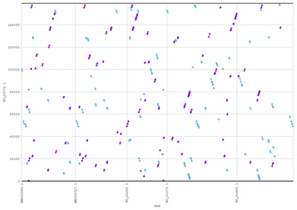 MUMmer plot output for Heterosigma akashiwo gene search against five algae reference sequences.