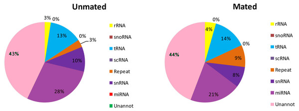 Distribution of small RNAs among different categories in unmated and mated libraries.