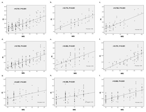Subgroup analysis on correlations of Pi value with NRS score during labor based on different confounding factors.