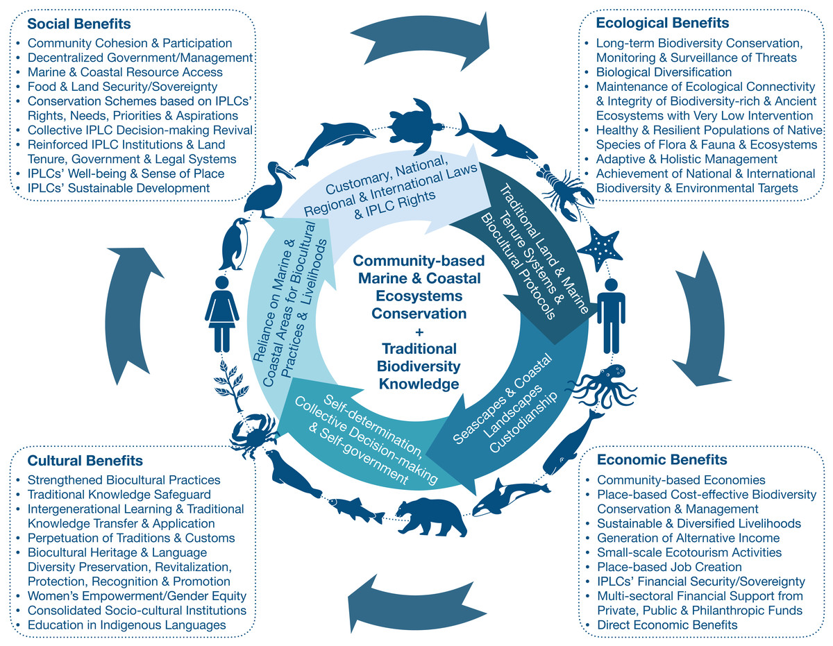 Aichi Target 18 beyond 2020: mainstreaming Traditional Biodiversity Knowledge in the conservation sustainable use of marine and coastal ecosystems [PeerJ]