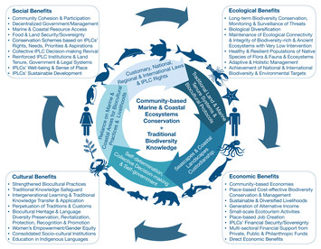 Biodiversity and Ecosystem Services Knowledge in the Colombian