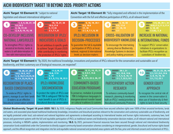 Aichi Biodiversity Target 18 beyond 2020: priority actions.