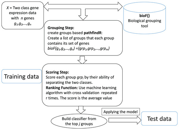 General workflow for integrating biological information for grouping the genes by bioF() function.