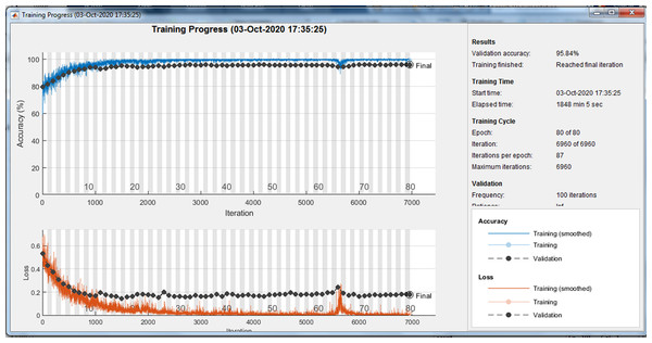 Training progress of running the model.