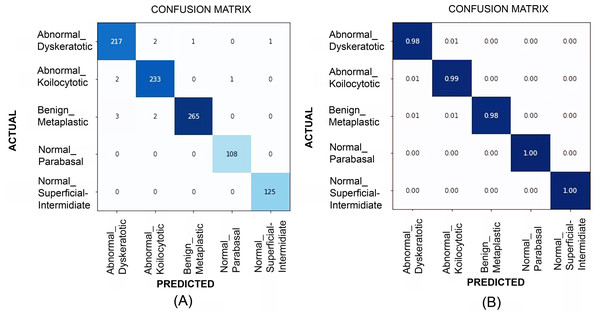 The confusion matrices at (A) and generalized score at (B) for multi-class classification results (for SiPaKMeD dataset) obtained with the EfficientNet-B3 model.
