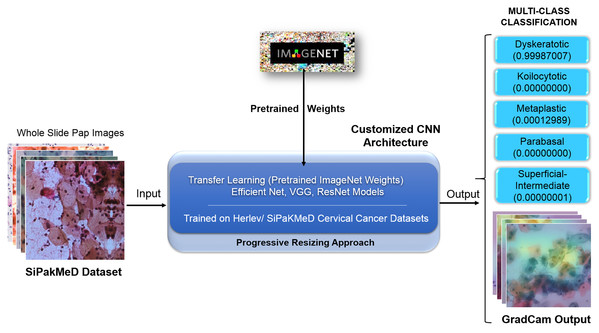 The methodology with inference pipeline used to analyze the Pap smear (Whole Slide) Images using ConvNets (trained using Transfer Learning and Progressive Resizing techniques) to generate Predictions and Activation Map.