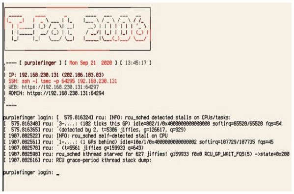 T-pot test script for raspberry Pi2.