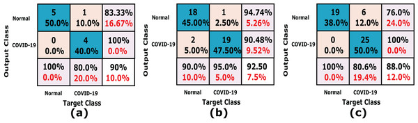 A detailed confusion matrix results of the proposed CXRVN system.