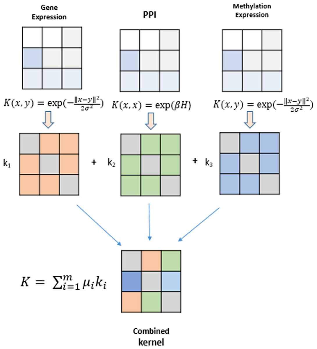 MKL-GRNI: A parallel multiple kernel learning approach for supervised  inference of large-scale gene regulatory networks [PeerJ]