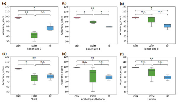 Performance analysis of CNN, LSTM, and RF for binary classification.