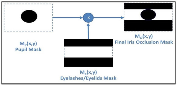MT mask generation process.