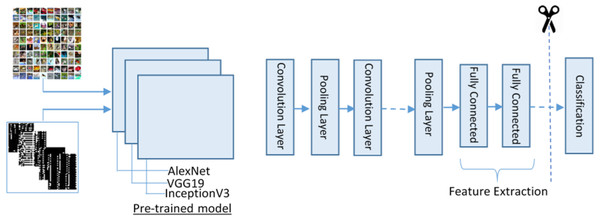 The transfer learning model for feature extraction.
