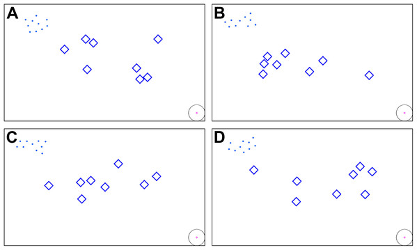 (A–D) Initial positions of the swarm members and obstacle shapes being randomized for each simulation.