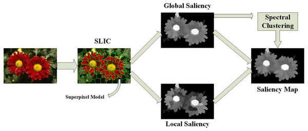 Illustration of the global and local saliency of an image patch (Sun & Li, 2018).