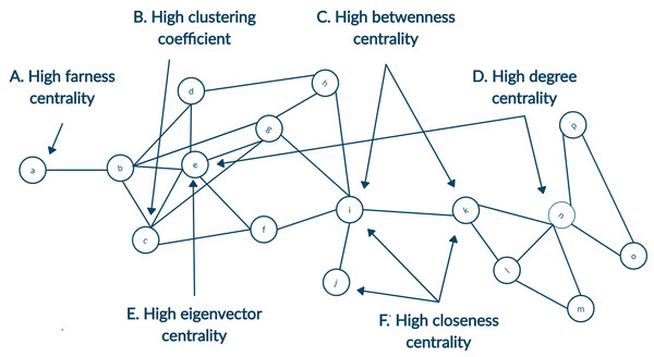 A toy network showing nodes with high centrality for different measures.