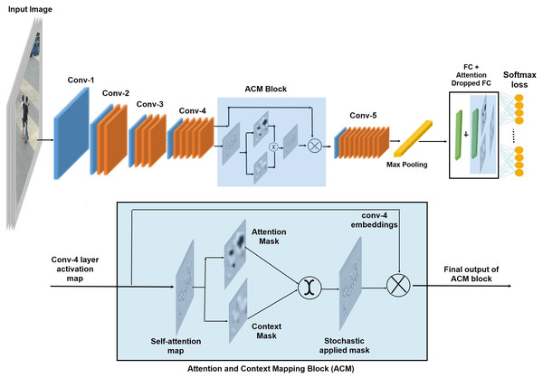 The proposed architecture; ACM block stack on to conv-4 layer and FC layer.