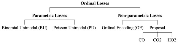 Schematic representation of the used and proposed ordinal losses.
