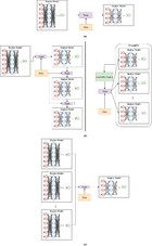 Knowledge distillation in deep learning and its applications [PeerJ]