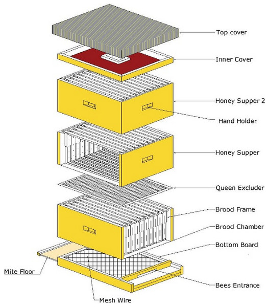 A complete proposed SAMS beehive system sketch.