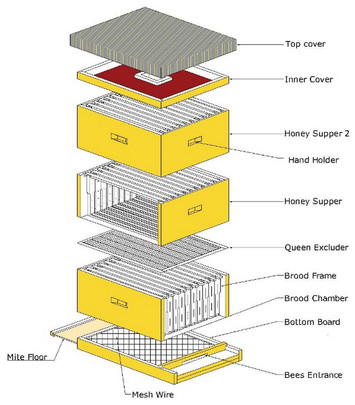 Smart apiculture management services for developing countries—the case ...