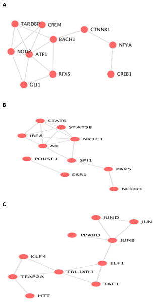 Transcription Factor protein-protein interactions (PPIs) network for each biomarker set, A, B, and C are the PPIs for the interacting transcription factor genes of the the three datasets.