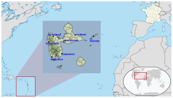 Guadeloupe island in the French West Indies.