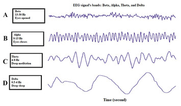 A novel multi-class imbalanced EEG signals classification based on the ...