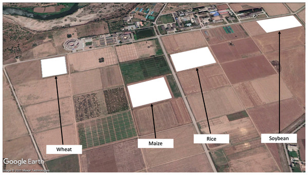 Crops marked in © Google Earth (NARC Region).