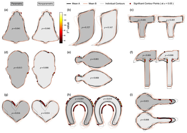 Contours mass-multivariate results using Statistical Parametric Mapping (SPM).