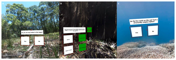 Case studies developed using the R2VR package with (A) Koala, (B) Jaguar and (C) Coral reef studies.