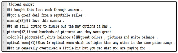 Sample reviews from the digital camera dataset.