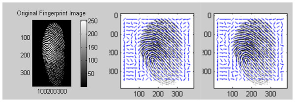 (A) Original fingerprint image (B) ridge orientation (C) ridge frequency.