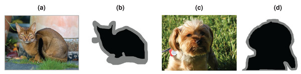 Example images from Oxford IIIT Pet dataset.