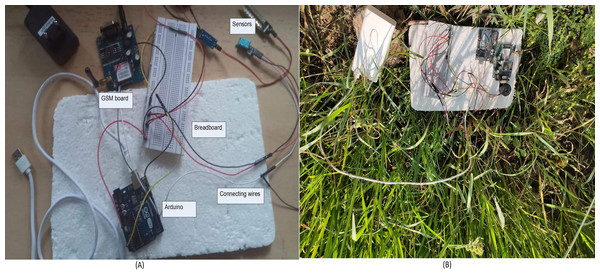 (A) Prototype model (B) Model deployment inside paddy field.