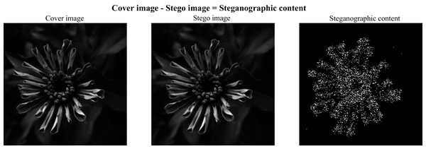Cover, stego and steganographic content images.