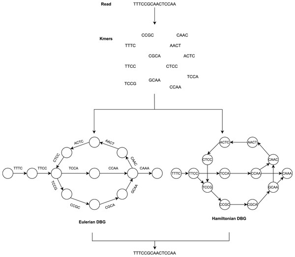 The general workflow of DBG method.