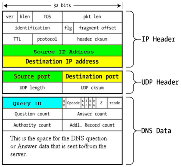 DNS packet structure.