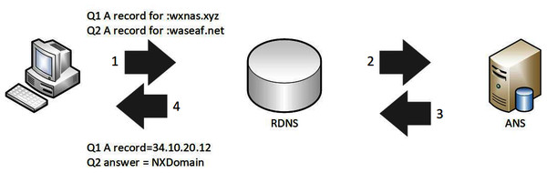 Typical procedure for DGA DNS resolution.