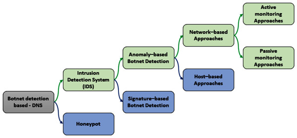 Taxonomy of Botnet detection based on DNS.