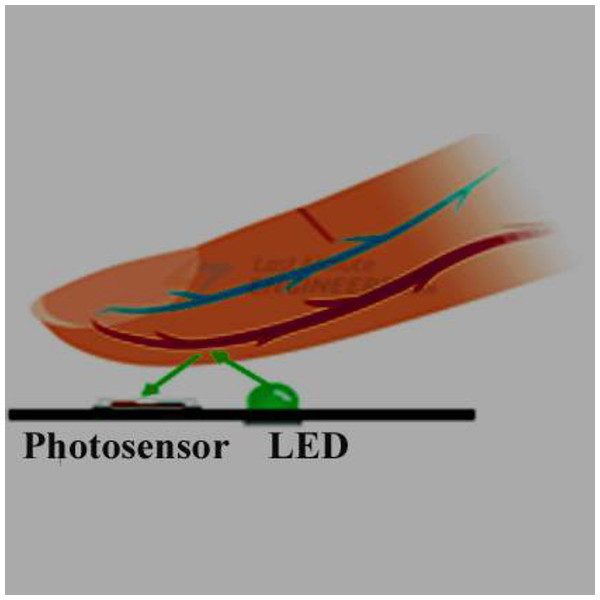 The light sensor.