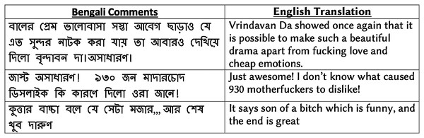 Examples of positive reviews with vulgar words in drama review corpus.