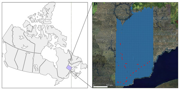 Location of the 3,0000 km2 dataset in the Côte-Nord region of Quebec, Canada.