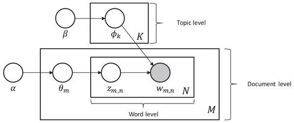 Generalization of the LDA topic modelling model.