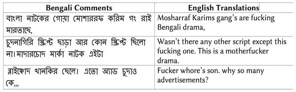 Examples of Bengali obscene comments and corresponding English translation.